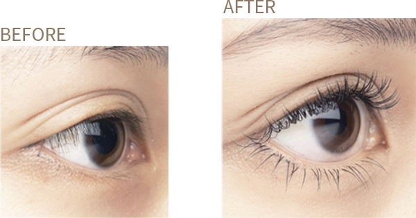 アンドヘルシーとは